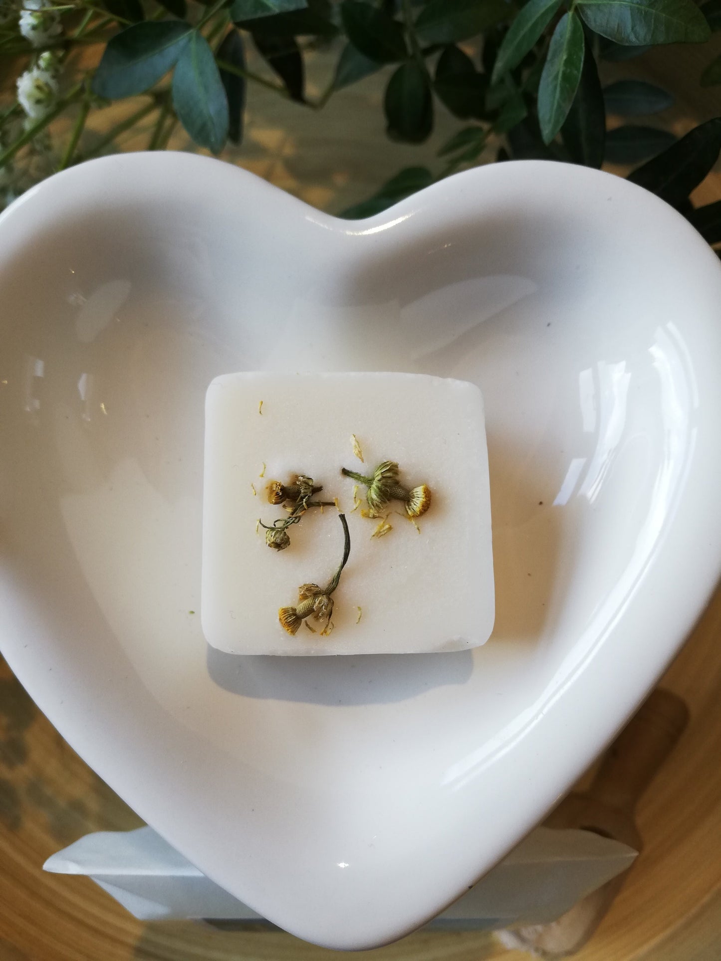 Tobacco & Vanilla Luxury Wax Melts